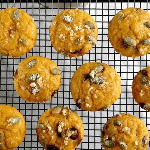 Pumpkin Chocolate Chip Muffs