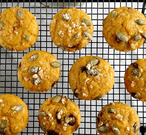 Pumpkin Chocolate Chip Muffs