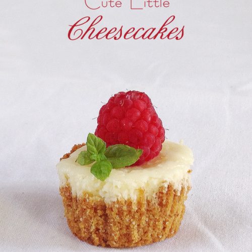 Cute Little Cheesecakes Recipe