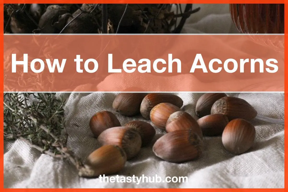 How to Leach Acorns: Cold and Hot Processes
