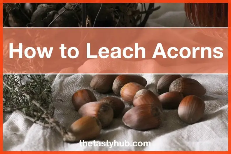 How to Leach Acorns: Cold and Hot Processes